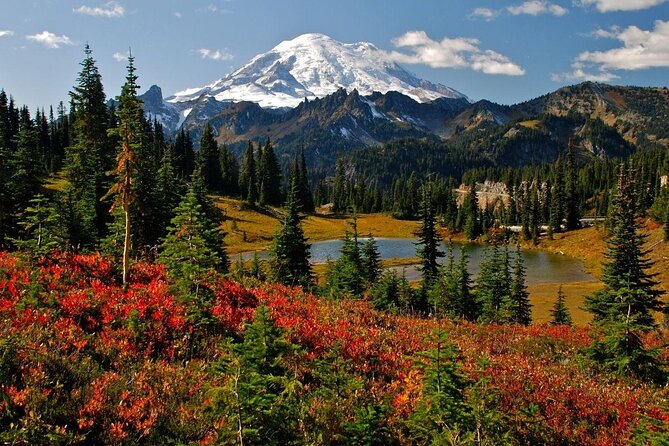 Mount Rainier Customized Tour from Seattle - A day trip that starts easy and keeps you moving
