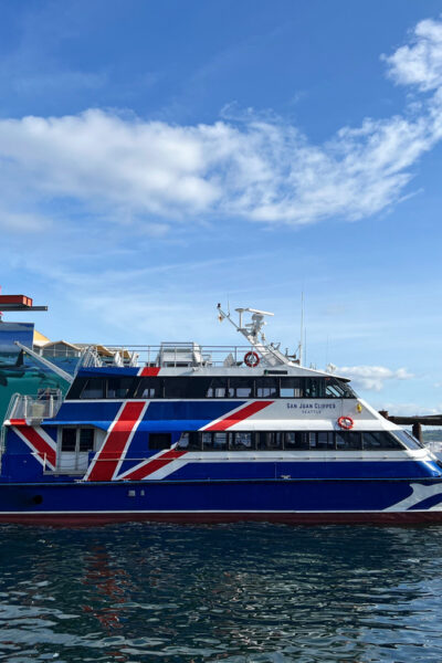 Seattle: Half-Day Wildlife and Whale Watching Cruise - What wildlife you might spot in the Salish Sea