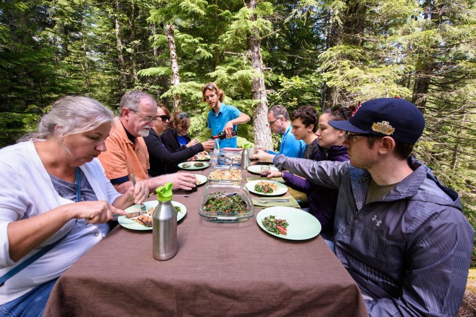 Seattle: Olympic National Park Small-Group Tour - Who This Tour Fits Best (and Who Should Rethink It)