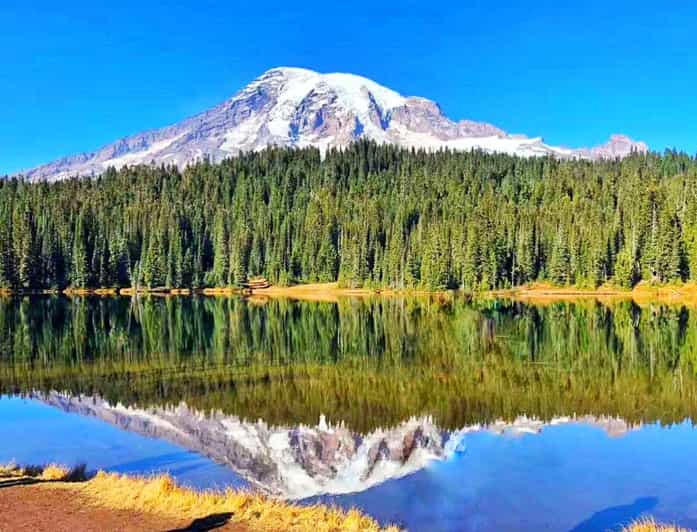 Seattle:Small Group Mount Rainier National Park 1-Day Tour - Walks, snow shoes, and how much effort to plan for