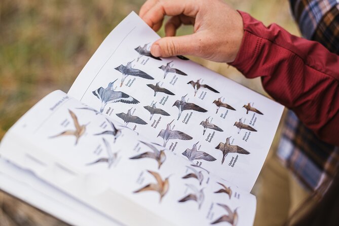 Skagit Valley Birding + Deception Pass Day Tour From Seattle - Key takeaways before you go