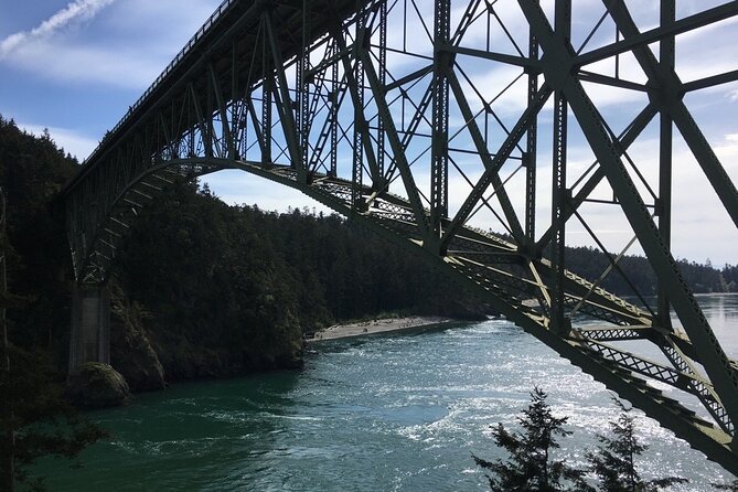 Skagit Valley Birding + Deception Pass Day Tour From Seattle - Price and logistics: what $262 buys you