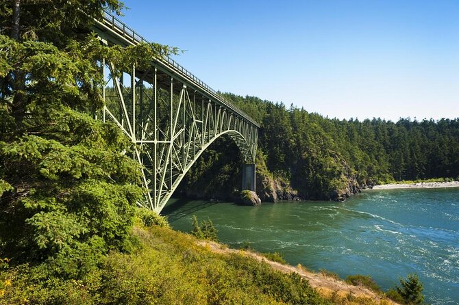 Skagit Valley Birding + Deception Pass Day Tour From Seattle - Skagit birdwatching tip: how to spot more in less time