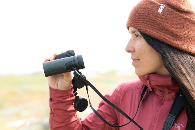 Skagit Valley Birding + Deception Pass Day Tour From Seattle - After lunch choice: bridge walk or slower coast time