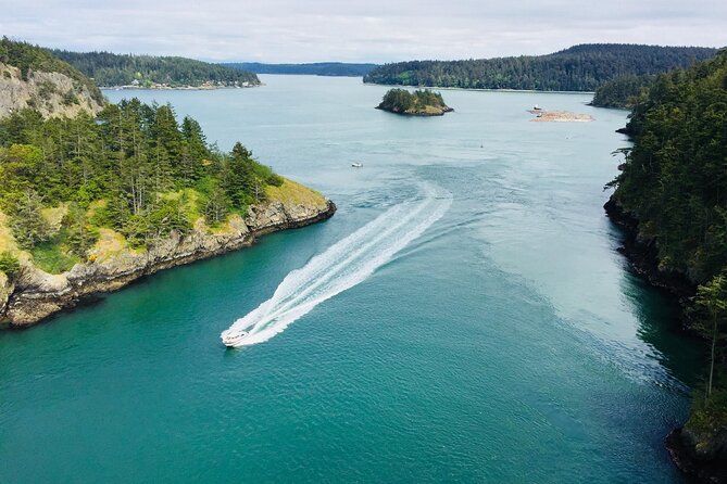 Skagit Valley Birding + Deception Pass Day Tour From Seattle - Seattle pickup to Skagit Valley: your morning starts early
