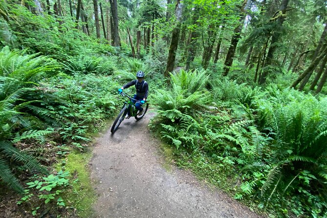 Viator Exclusive - Half Day Mountain Bike Tour from Seattle - Getting there: downtown Seattle pick-up, door-to-door transportation, and a clear backup spot