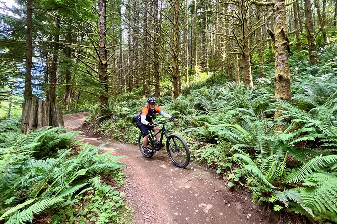 Viator Exclusive - Half Day Mountain Bike Tour from Seattle - Price and value: $261.79 for a guided, gear-included mountain bike day