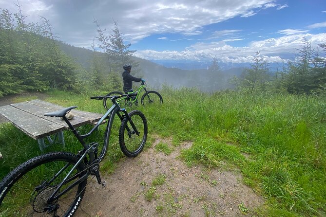 Viator Exclusive - Half Day Mountain Bike Tour from Seattle - Who should book this tour (and who might want a different option)