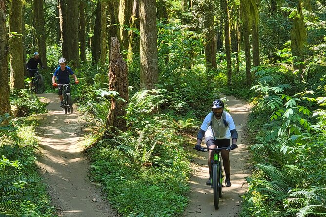 Viator Exclusive - Half Day Mountain Bike Tour from Seattle - Bike setup: modern Giant/Liv full suspension plus all the safety gear